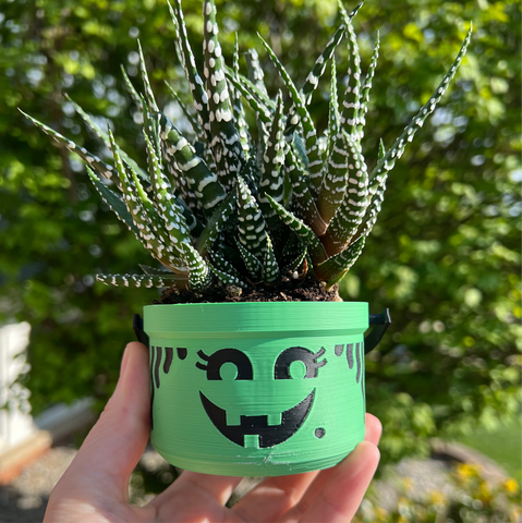 Planter Witch Boo Bucket