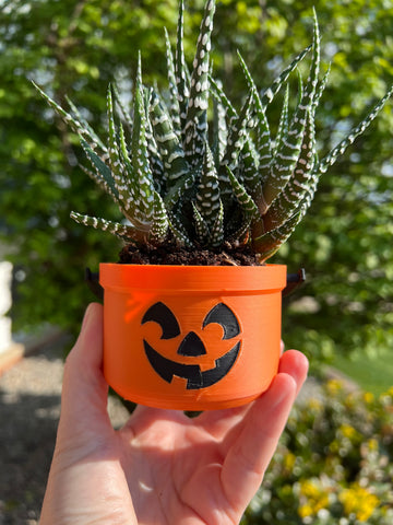 Planter Orange Halloween Boo Bucket