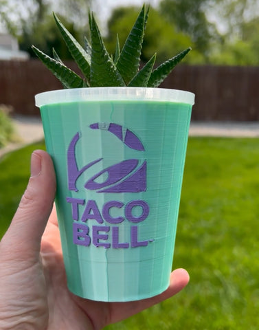 Baja Planter or Pencil Holder