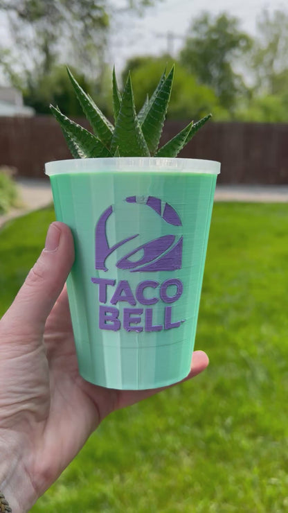Baja Planter or Pencil Holder